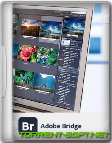 Adobe Bridge 2024 14.0.0.102 RePack by KpoJIuK [Multi/Ru]