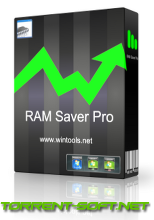 RAM Saver Professional 23.7 (2023) PC | RePack & Portable by elchupacabra