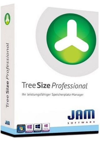TreeSize Professional 8.6.1.1764 (2023) PC