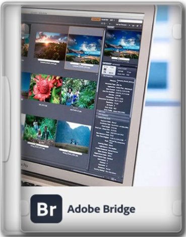 Adobe Bridge 2024 14.0.2.191 RePack by KpoJIuK [Multi/Ru]